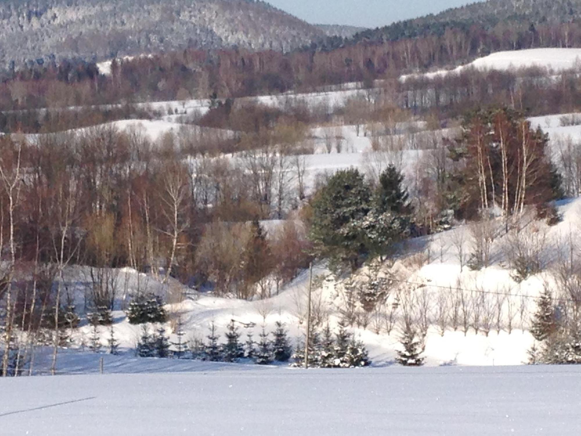 Domki Pod Kiczera W Baligrodzie, Bieszczady Exterior photo