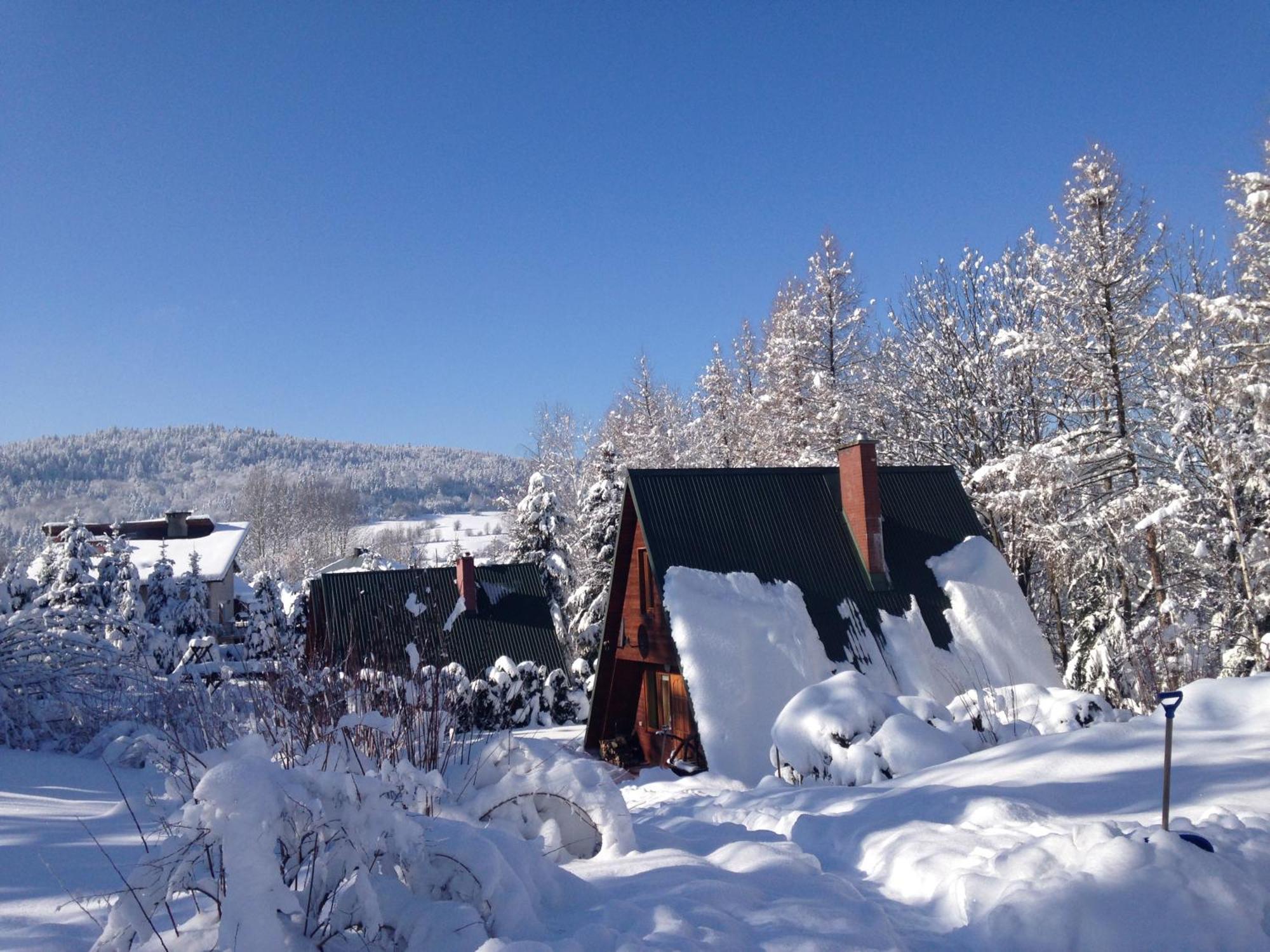 Domki Pod Kiczera W Baligrodzie, Bieszczady Exterior photo