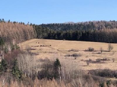 Domki Pod Kiczera W Baligrodzie, Bieszczady Exterior photo